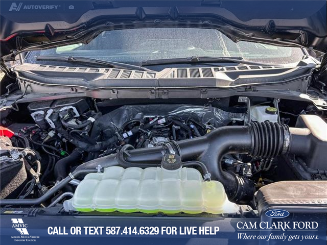 2025 Ford F-150 XLT (Stk: 25AT3372) in Airdrie - Image 10 of 25