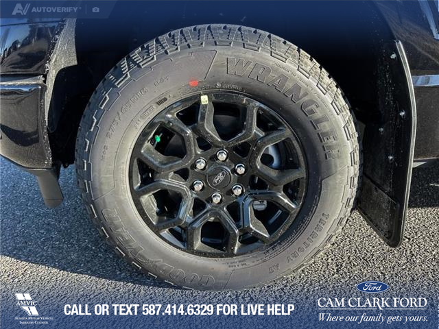 2025 Ford F-150 XLT (Stk: 25AT4195) in Airdrie - Image 6 of 25