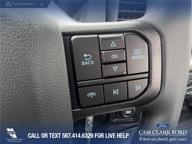 2025 Ford F-150 XL (Stk: 25CT9025) in Canmore - Image 16 of 25