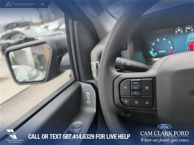 2025 Ford F-150 XL (Stk: 25CT9025) in Canmore - Image 17 of 25