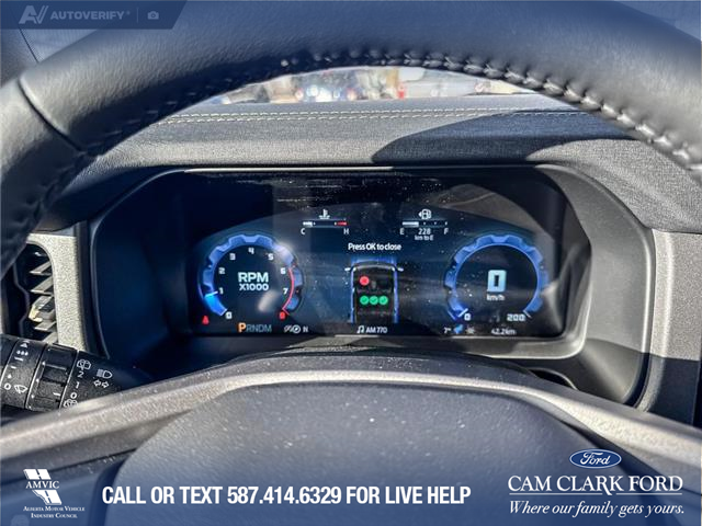 2025 Ford Bronco Badlands (Stk: 25S6227) in Red Deer - Image 15 of 25