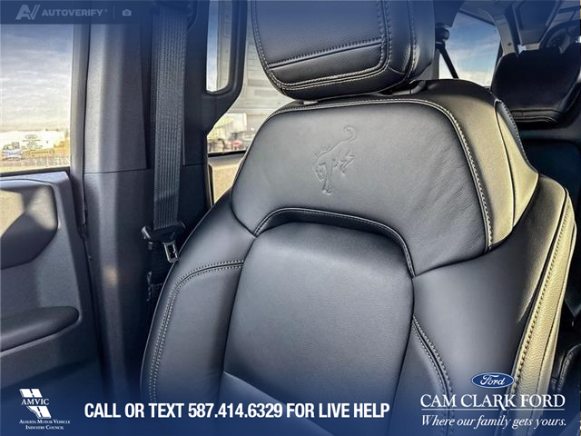 2025 Ford Bronco Badlands (Stk: 25S6227) in Red Deer - Image 20 of 25