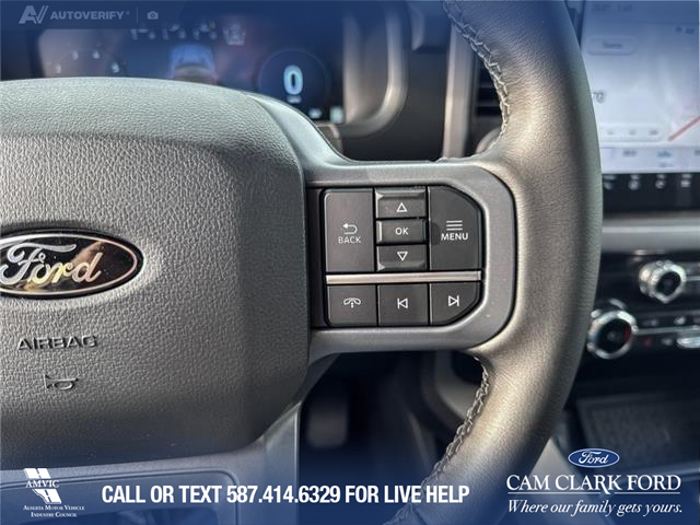2025 Ford F-150 XLT (Stk: 25T8400) in Red Deer - Image 15 of 24