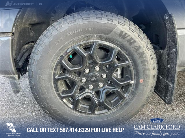 2025 Ford F-150 XLT (Stk: 25AT4546) in Airdrie - Image 6 of 25