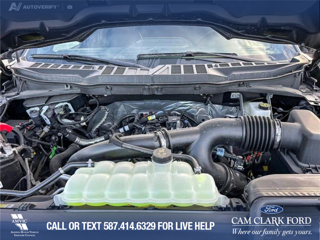 2025 Ford F-150 XLT (Stk: 25AT4546) in Airdrie - Image 10 of 25