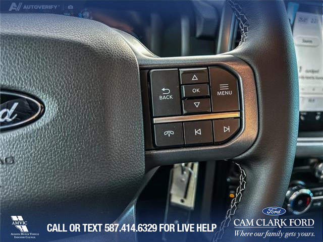 2025 Ford F-150 XLT (Stk: 25AT9473) in Airdrie - Image 16 of 25