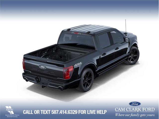 2025 Ford F-150 STX (Stk: 25T8969) in Red Deer - Image 3 of 7