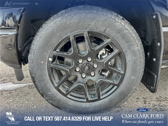 2025 Ford F-150 STX (Stk: 25AT3820) in Airdrie - Image 6 of 25