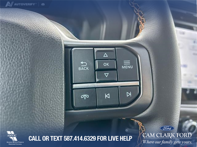 2025 Ford F-150 Tremor (Stk: 25AT7088) in Airdrie - Image 16 of 25