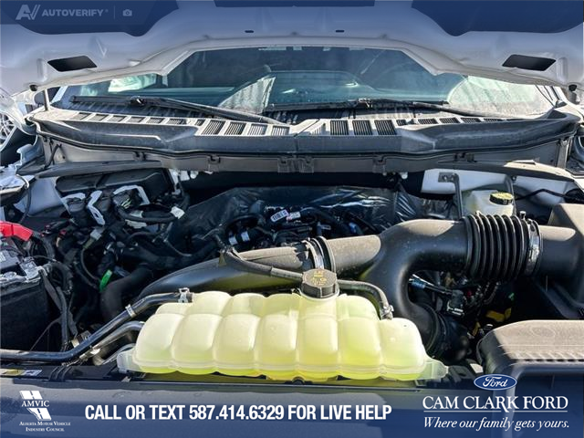 2025 Ford F-150 XLT (Stk: 25AT5380) in Airdrie - Image 10 of 25