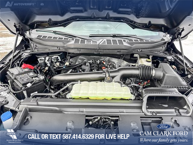 2026 Ford F-150 XLT (Stk: 26T2882) in Olds - Image 10 of 25