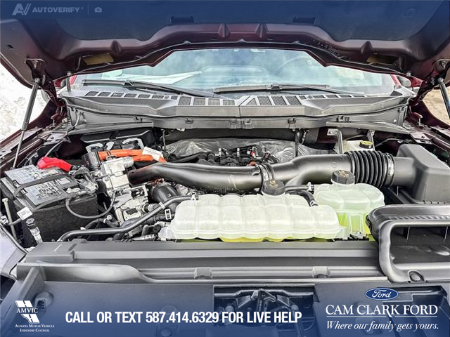 2025 Ford F-150 XLT (Stk: 25T2926) in Red Deer - Image 10 of 24