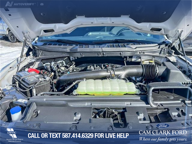 2026 Ford F-150 XLT (Stk: 26T2825) in Olds - Image 10 of 25 2026 Ford F-150 XLT (Stk: 26T2825) in Olds - Image 10 of 25