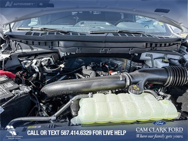 2026 Ford F-150 Tremor (Stk: 26T4656) in Red Deer - Image 10 of 24