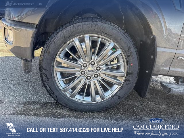 2026 Ford F-150 Platinum (Stk: 26T0930) in Red Deer - Image 6 of 24