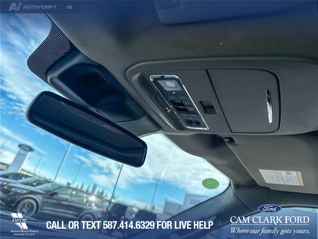 2026 Ford F-150 Platinum (Stk: 26T0810) in Red Deer - Image 20 of 24
