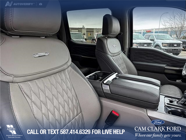 2026 Ford F-150 Platinum (Stk: 26T0829) in Red Deer - Image 21 of 24