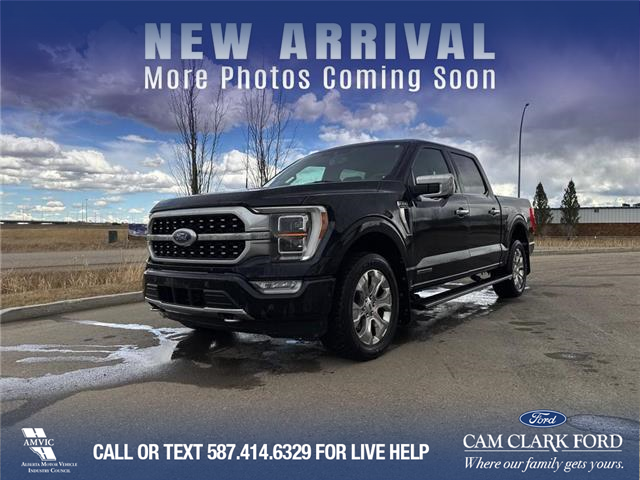 2021 Ford F-150 Platinum (Stk: U37389) in Red Deer - Image 1 of 7