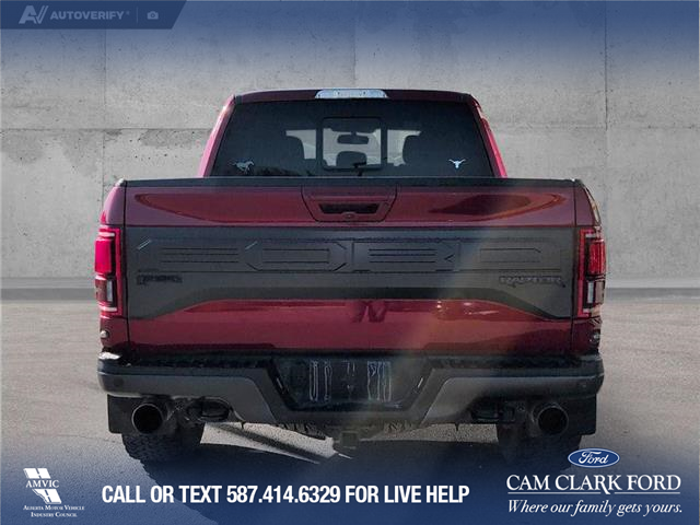 2017 Ford F-150 Raptor (Stk: P1496) in Canmore - Image 5 of 23