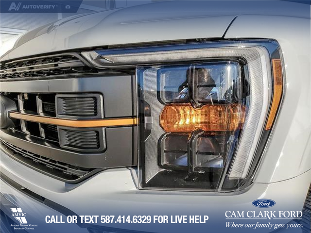 2023 Ford F-150 Tremor (Stk: U37819) in Red Deer - Image 8 of 25