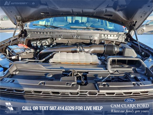 2023 Ford F-150 Tremor (Stk: U37813) in Red Deer - Image 10 of 25