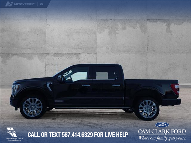 2021 Ford F-150 Limited (Stk: P6770) in Olds - Image 3 of 24