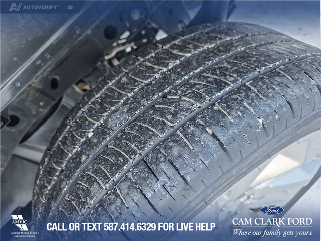 2021 Ford F-150 Limited (Stk: P6770) in Olds - Image 7 of 24