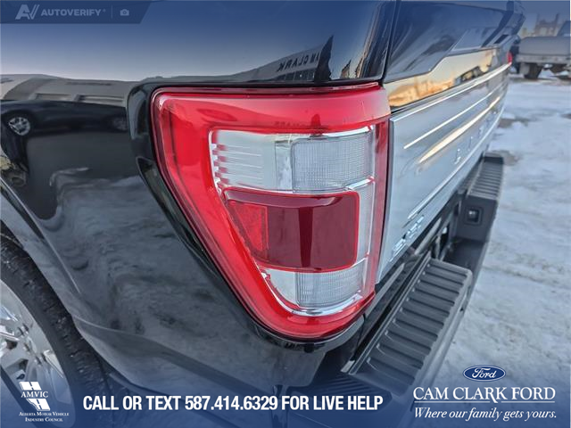 2021 Ford F-150 Limited (Stk: P6770) in Olds - Image 10 of 24
