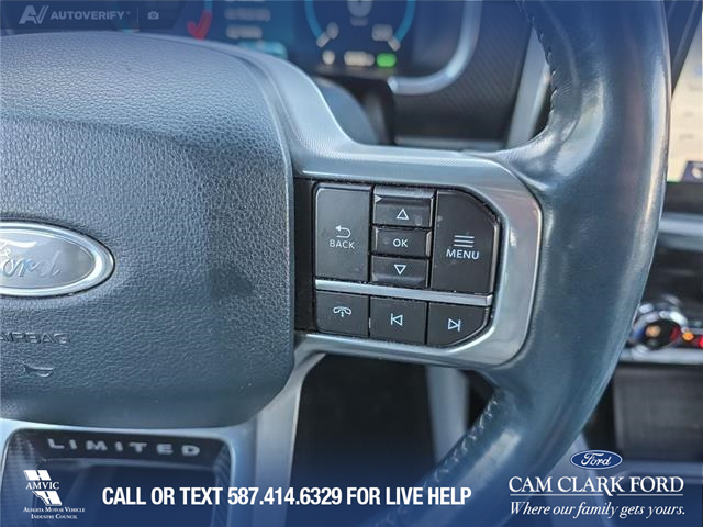 2021 Ford F-150 Limited (Stk: P6770) in Olds - Image 15 of 24