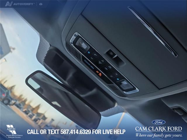 2021 Ford F-150 Limited (Stk: P6770) in Olds - Image 20 of 24