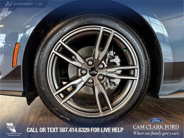 2025 Ford Mustang EcoBoost Premium (Stk: P14738) in Airdrie - Image 6 of 25