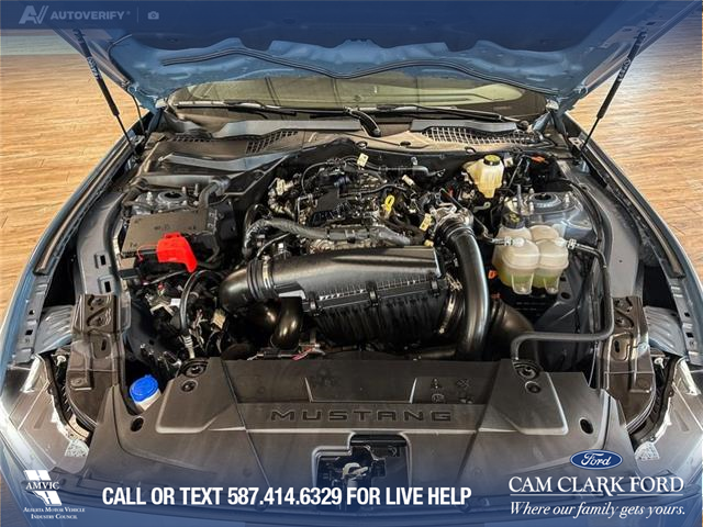 2025 Ford Mustang EcoBoost Premium (Stk: P14738) in Airdrie - Image 10 of 25