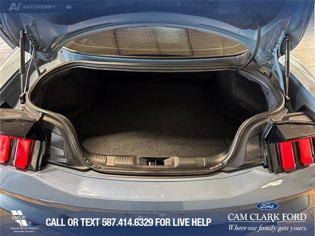 2025 Ford Mustang EcoBoost Premium (Stk: P14738) in Airdrie - Image 11 of 25