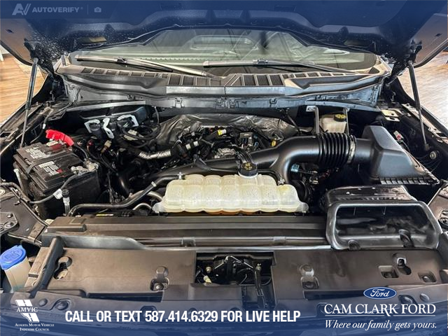2024 Ford F-150 XLT (Stk: RC19955) in Airdrie - Image 10 of 25
