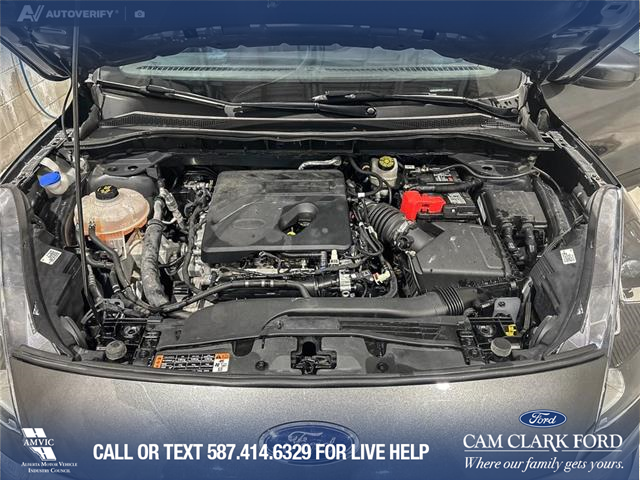 2020 Ford Escape SEL (Stk: P6817) in Olds - Image 10 of 25 2020 Ford Escape SEL (Stk: P6817) in Olds - Image 10 of 25