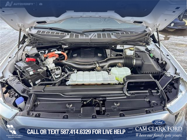 2021 Ford F-150 Platinum (Stk: P1583) in Canmore - Image 10 of 27 2021 Ford F-150 Platinum (Stk: P1583) in Canmore - Image 10 of 27