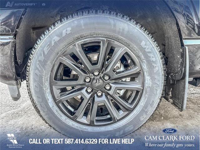 2024 Ford F-150 Platinum (Stk: P6878) in Olds - Image 6 of 24
