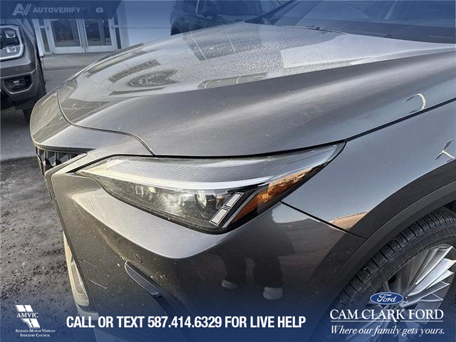 2023 Lexus NX 350 Base (Stk: P6895) in Olds - Image 8 of 25 2023 Lexus NX 350 Base (Stk: P6895) in Olds - Image 8 of 25