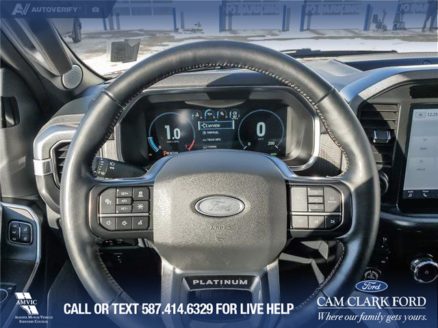 2023 Ford F-150 Platinum (Stk: U37934) in Red Deer - Image 14 of 25