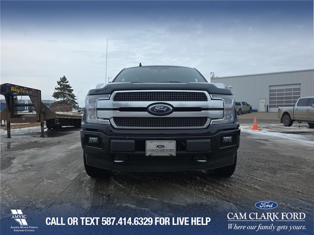 2020 Ford F-150 Platinum (Stk: U37948) in Red Deer - Image 2 of 6