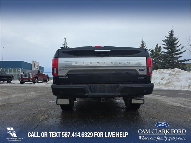 2020 Ford F-150 Platinum (Stk: U37948) in Red Deer - Image 5 of 6