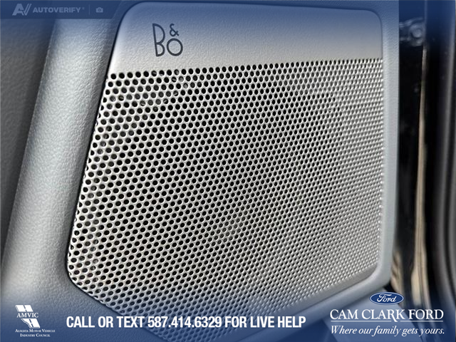 2025 Ford F-150 Lightning Flash (Stk: P1591) in Canmore - Image 18 of 27