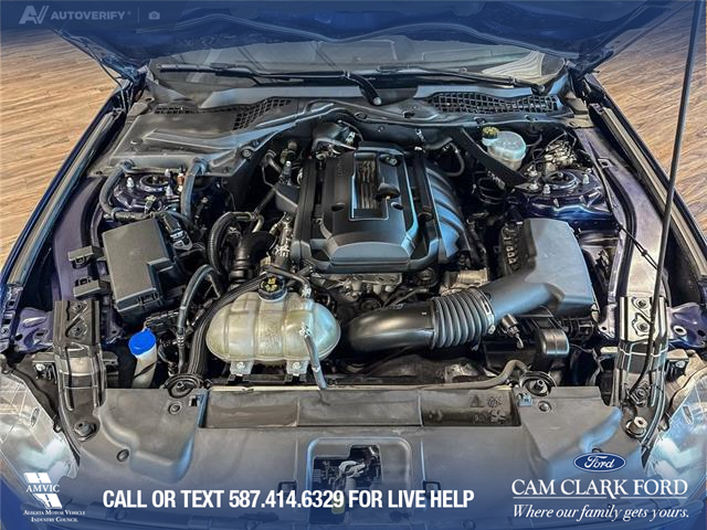 2020 Ford Mustang EcoBoost (Stk: P14825) in Airdrie - Image 10 of 25