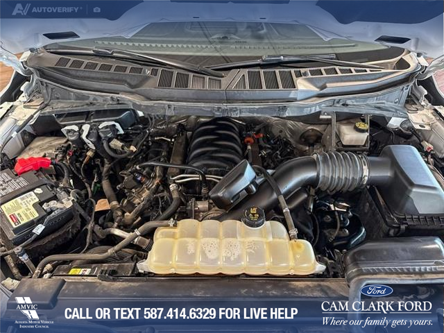 2021 Ford F-150 XLT (Stk: RC19979) in Airdrie - Image 10 of 24