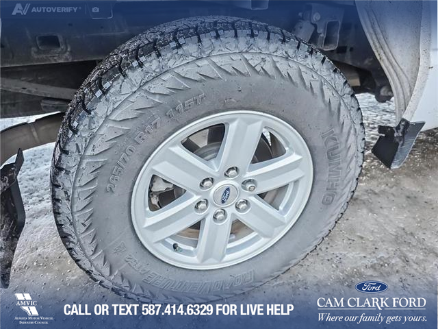 2023 Ford F-150 XLT (Stk: P6967) in Olds - Image 6 of 24