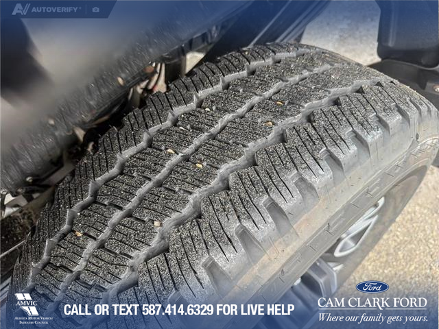 2023 Ford F-350 Platinum (Stk: P6918) in Olds - Image 7 of 25