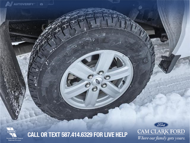 2023 Ford F-150 XLT (Stk: P6937) in Olds - Image 6 of 24