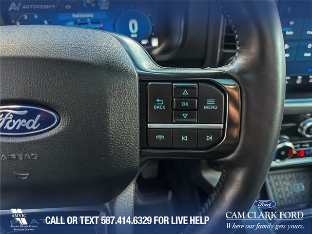 2025 Ford F-150 Platinum (Stk: P1609) in Canmore - Image 16 of 27