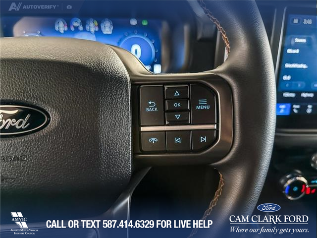 2025 Ford F-150 Tremor (Stk: P14906) in Airdrie - Image 16 of 25