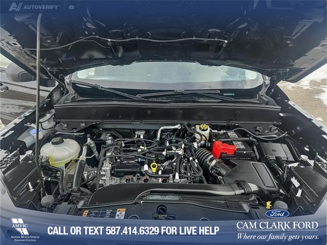 2023 Ford Bronco Sport Big Bend (Stk: P1162) in Innisfail - Image 9 of 24 2023 Ford Bronco Sport Big Bend (Stk: P1162) in Innisfail - Image 9 of 24